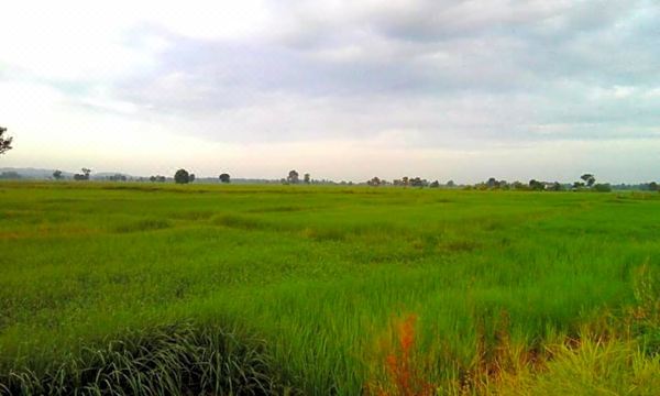 5. P 캘리포니아 ..