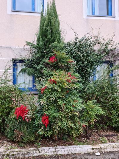 その他 コンフォート ホテル エアポート CDGの写真