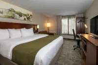 蘇聖瑪麗-加拿大舒適酒店