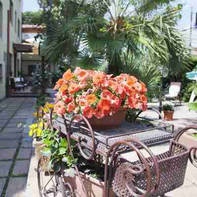 Hotel Giardino Hotel Exterior