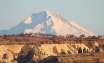 Anatolia Cave Hotel Pension