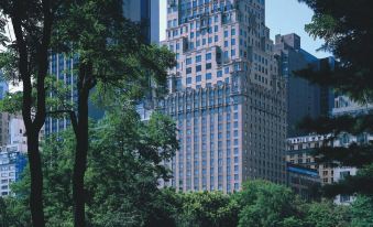 The Ritz-Carlton New York, Central Park