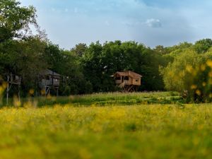 Dihan Evasion - Cabanes dans les arbres en Bretagne