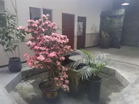 Yingqing Juzhusu, Jiaguan Town, Handan City - 2 stjerner