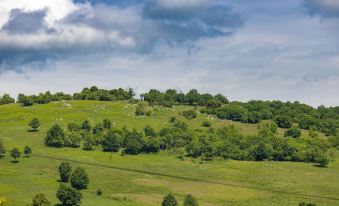 B&B Green Serenity Plitvice Lakes