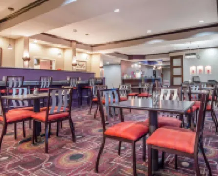 คอมฟอร์ตสวีทส์ เปกอส