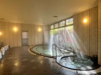 Hotel Hanasarasa - Hot Springs