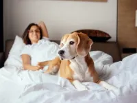 AMMOS PET FRIENDLY HOTEL Hotels in Shimoda