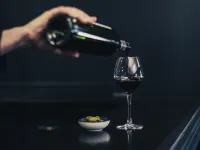 Mercure Bayonne Centre - le Grand Hôtel - bar