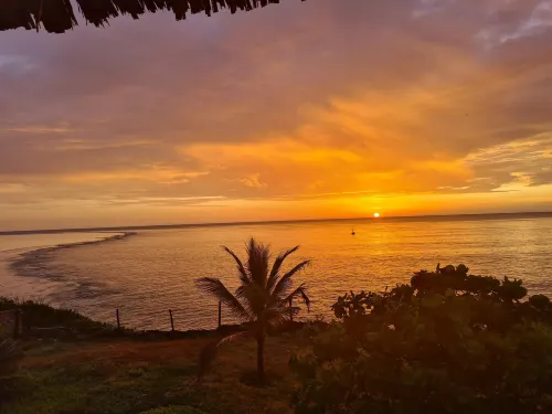 Cove House House 60 m2 Creekside Indian Ocean Hotels in Shimoni