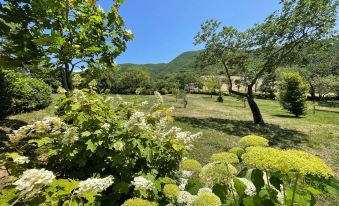 Spoleto Country Park Sleeps 28 with Activities Area, Kiddies Area, Pool, Games