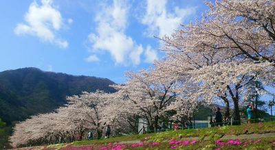 ホテル周辺 レイクランドホテル みづのさとの写真