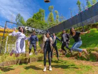 The Hosteller Ooty Hotels near Murugan Temple