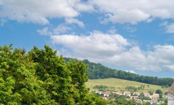 Hotel Nancy Sud - Ludres