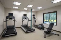 سبرنجهيل سويتس باي ماريوت جينسفيل - نادي رياضي