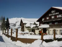 Hotel Arvenbüel - 駐車場