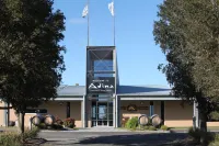 Adina Vineyard