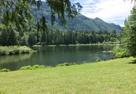 Mt Baker Apt, Pets OK, Wifi and AC