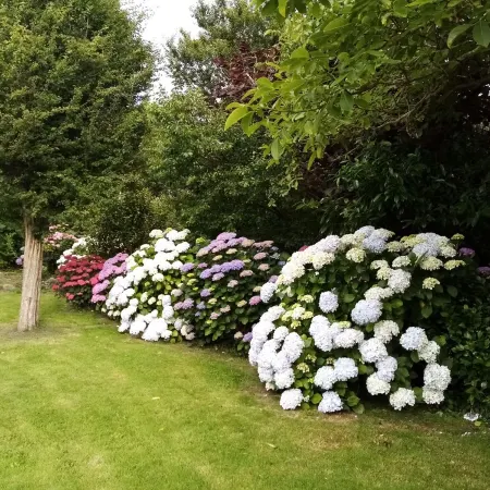 Renovated House, Large Garden, Close to Beaches