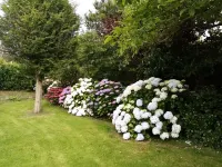 Renovated House, Large Garden, Close to Beaches Hotels in Trebeurden