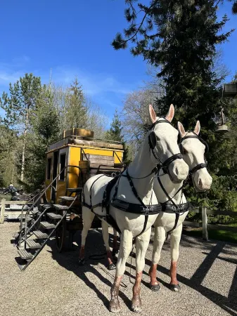 Le Domaine de la Duchesse - Maison Champenoise 8 / 11 Pers. Отели в г. Жифомон-Шампобер