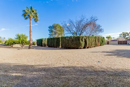 Resort Backyard w/Private Pool- Spacious Home close to Stadium & Spring Training Отели рядом с достопримечательностью «Университет Аризона Крисчен»