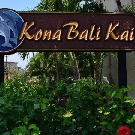 Direct Oceanfront Condo!  Sea Turtles & Beautiful Sunsets from the Lanai