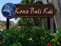 Direct Oceanfront Condo!  Sea Turtles & Beautiful Sunsets from the Lanai