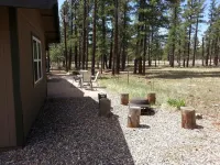 Forest as Your Backyard - Near Flagstaff, Grand Canyon, Sedona