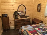 Country Cabin in the Woods