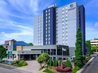 DoubleTree by Hilton Chattanooga Downtown - 4-Star