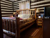 Old World Swiss Cabin Nestled In Woods Ancient Lore & Neyland Stadium Close by