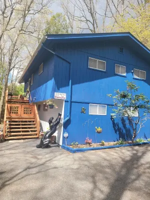 Bear Lair 2. Pet friendly, walking trails, hot tub Hotels near Hawk Falls