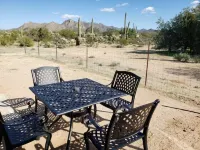 Tucson Thanksgiving Dates Saguaro National Park W Desert Views Stargazing Nature Hotel a Pima County