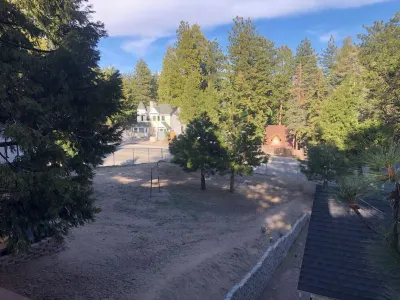 Cabin Chateau Relaxo Cabin Large Game Room. Walking Distance to Town. Hotels near Arrowbear Lake