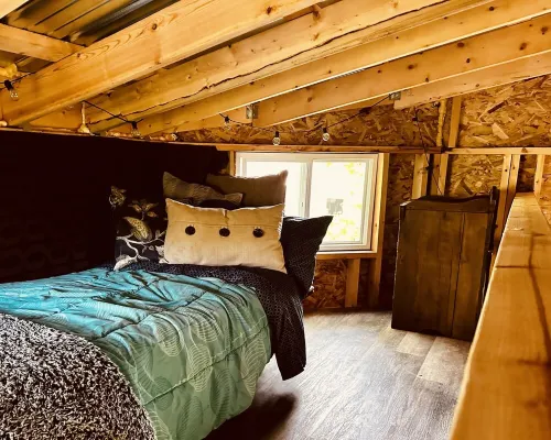 Immerse yourself with nature at this unique living tree-treehouse!