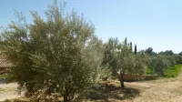 A little corner of paradise for lovers of Provence. Hotel dekat Var Ouest E-Bike