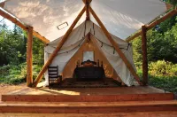 Cozy Winter Cabin! A Unique Experience. Your Very Own Private Camp! Sleeps 2-3