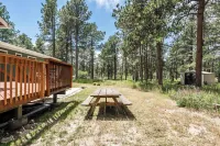 Soul Care Cabin Family Forest Getaway, 6 bedroom, 3 King beds