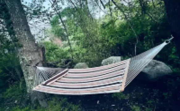 Contemporary cottage minutes from the heart of town!