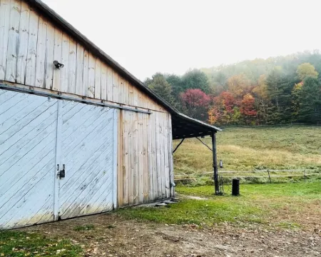 Barn stay with dairy goats! Your clean cozy spot in the barn is waiting for you 奧蘭治縣酒店