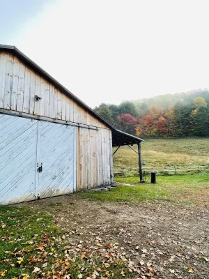 Barn stay with dairy goats! Your clean cozy spot in the barn is waiting for you