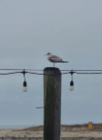 Oceanview Riverfront retreat w/ hot tub and private dock! - 10 min from DE Turf