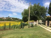Lovely and typical farmhouse in the heart of Chianti