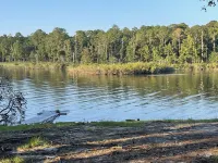 Spacious Lake House with Sam Rayburn Water Frontage 賈斯珀縣酒店