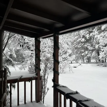 Private Mountain Retreat with room to roam! Horses welcome!