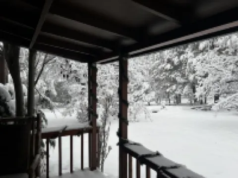Private Mountain Retreat with room to roam! Horses welcome!