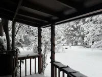 Private Mountain Retreat with room to roam! Horses welcome!