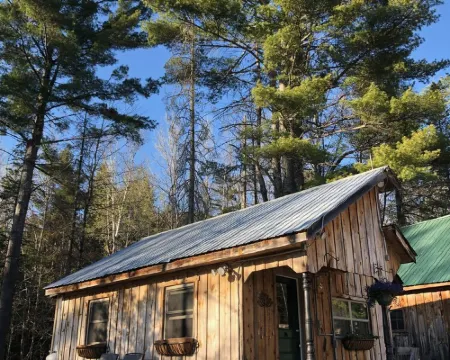 Sun drenched cozy cottage on budding 17 acre homestead 奧蘭治縣酒店