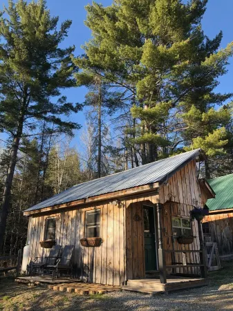 Sun drenched cozy cottage on budding 17 acre homestead